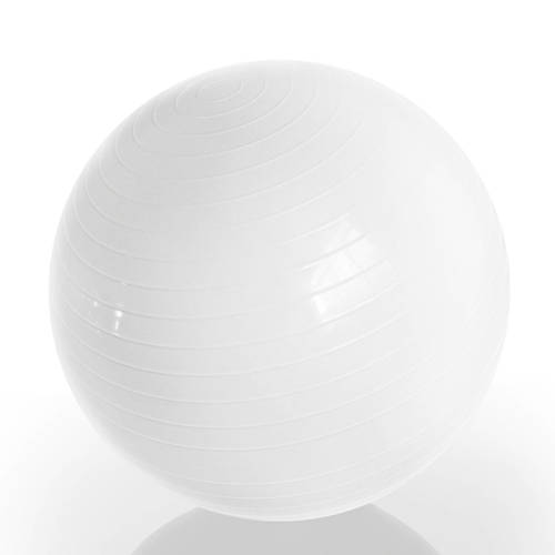 Gymstick Emotion Body Ball Met Trainingsvideos 65 gymstick kopen in de aanbieding