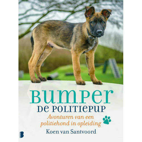 Bumper De Politiepup Koen Van Santvoord huismerk kopen in de aanbieding