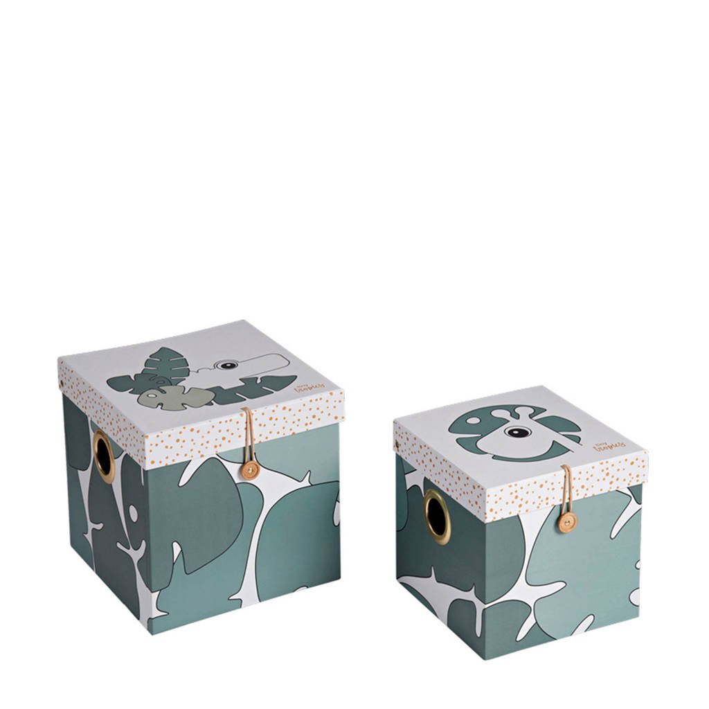 Done by Deer Tiny tropics opbergdozen (set van 2), Mint