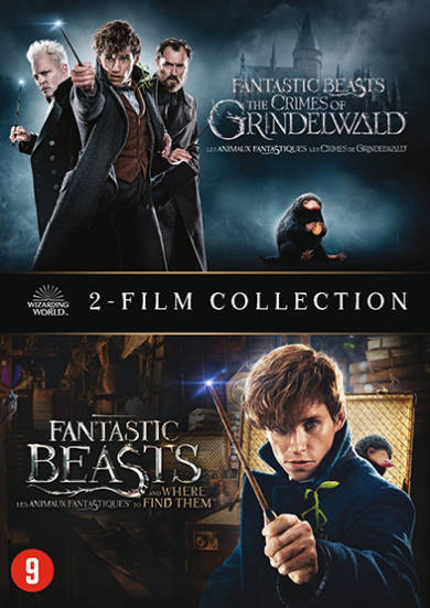 Fantastic Beasts 1&2 (DVD) Kopen? | Morgen In Huis | Wehkamp