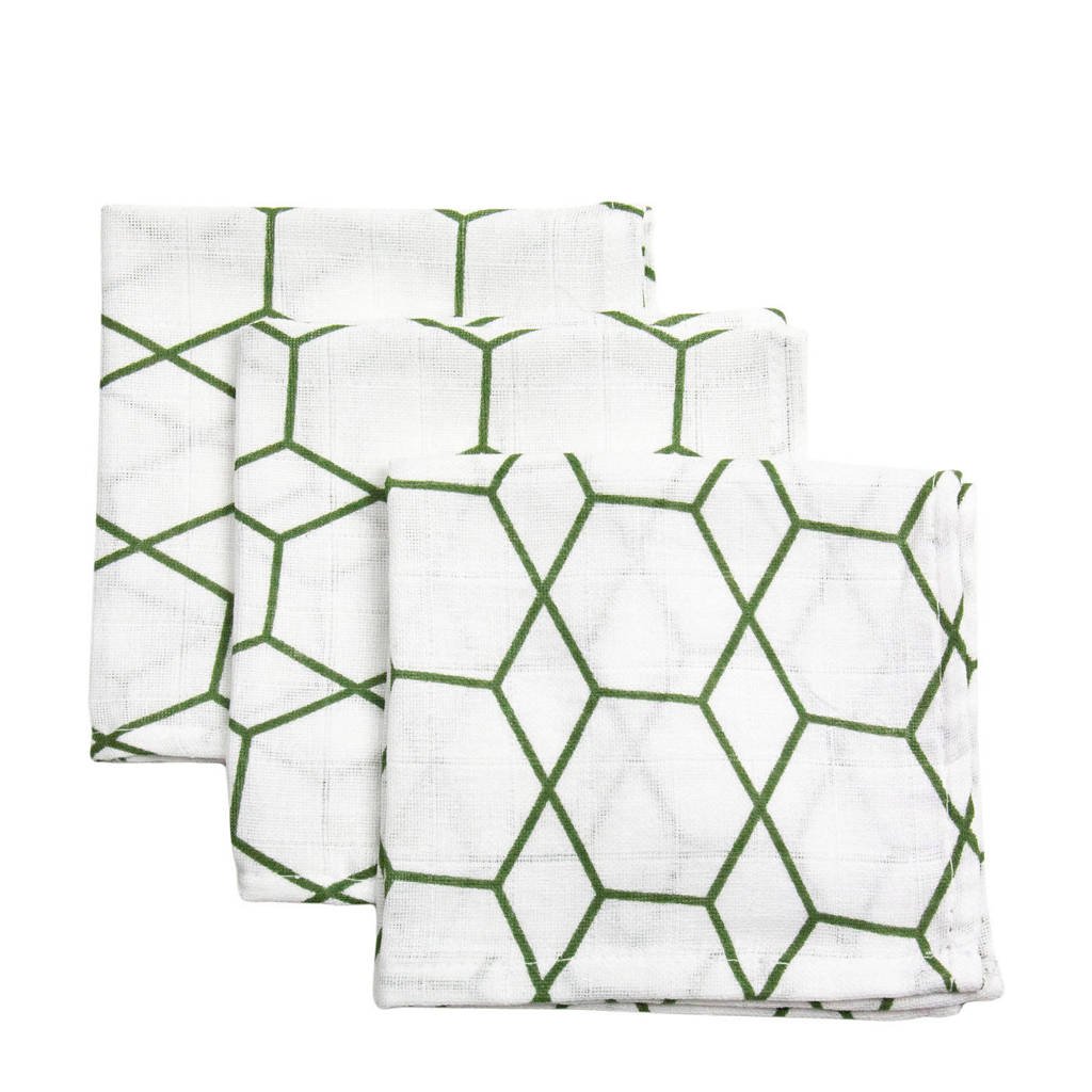 Briljant Baby hydrofiel monddoekje grid forrest - set van 3, Wit/groen