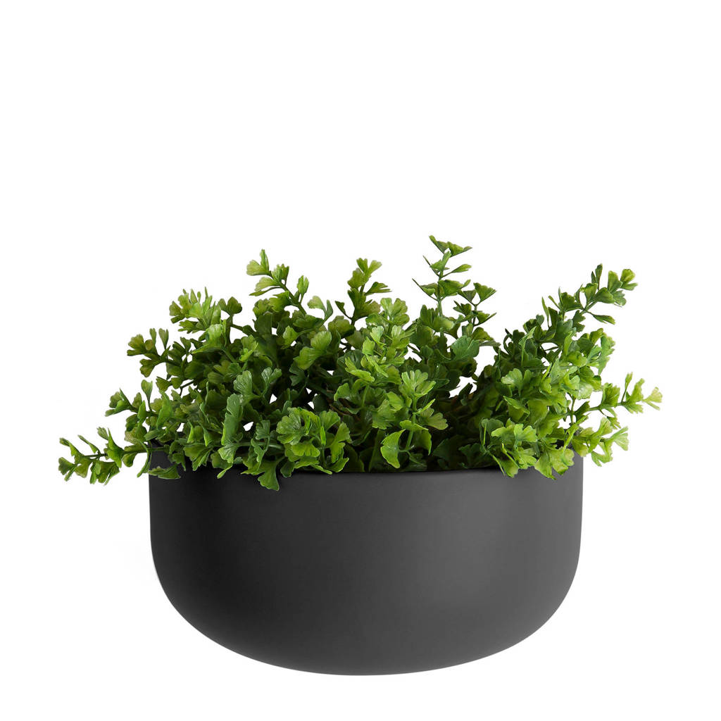 pt, wand plantenpot Oval, Zwart