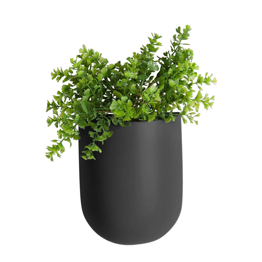 pt, wand plantenpot Oval, Zwart