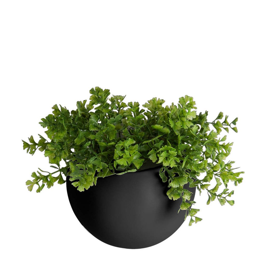 pt, wand plantenpot Globe, Zwart