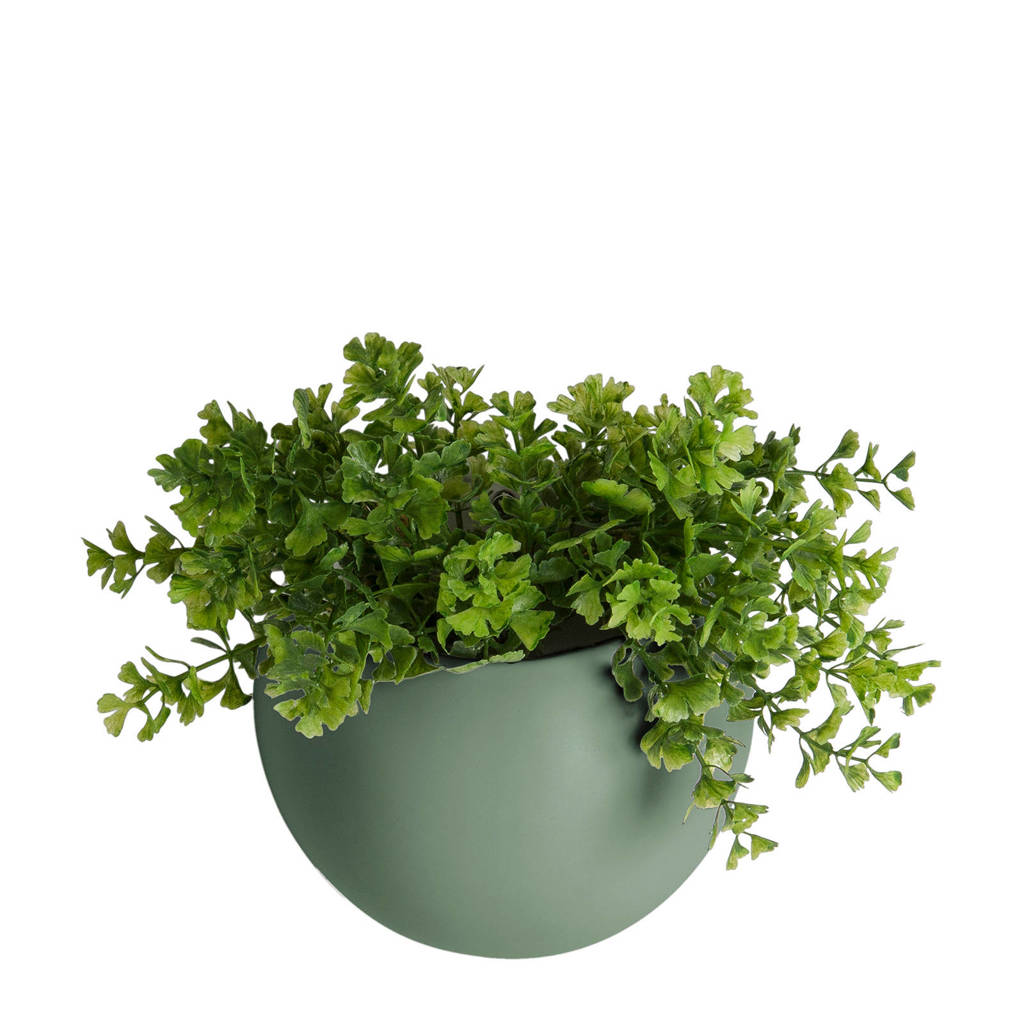 pt, wand plantenpot Globe, Groen