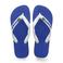 Havaianas Brasil Logo teenslippers wit/blauw