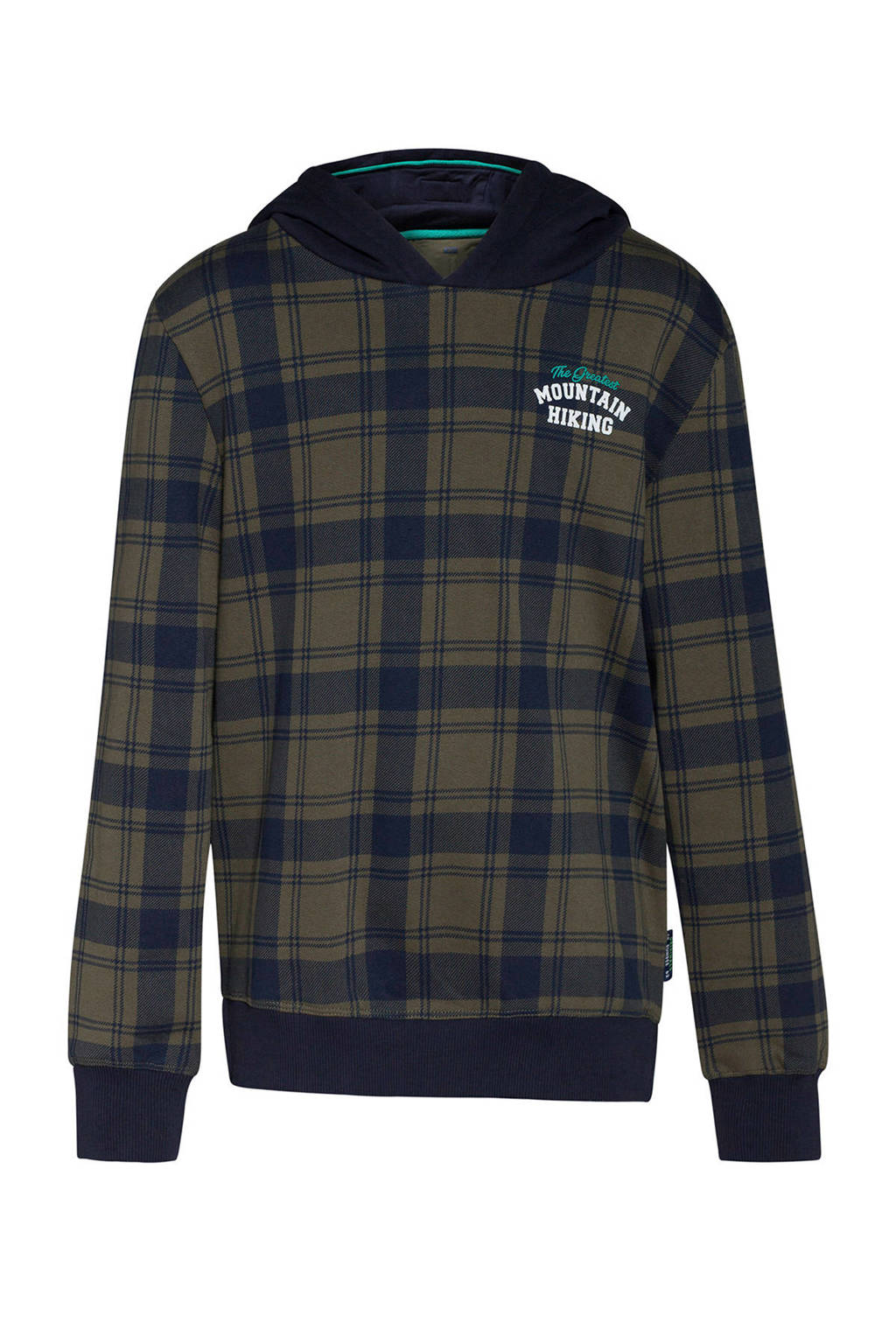 WE Fashion geruite hoodie groen/donkerblauw, Groen/donkerblauw