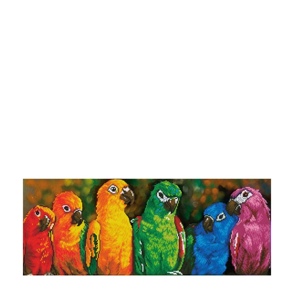 Diamond Dotz rainbow parrots diamond dotz: 77x30 cm