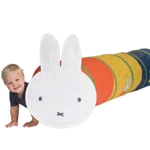 Kruiptunnel