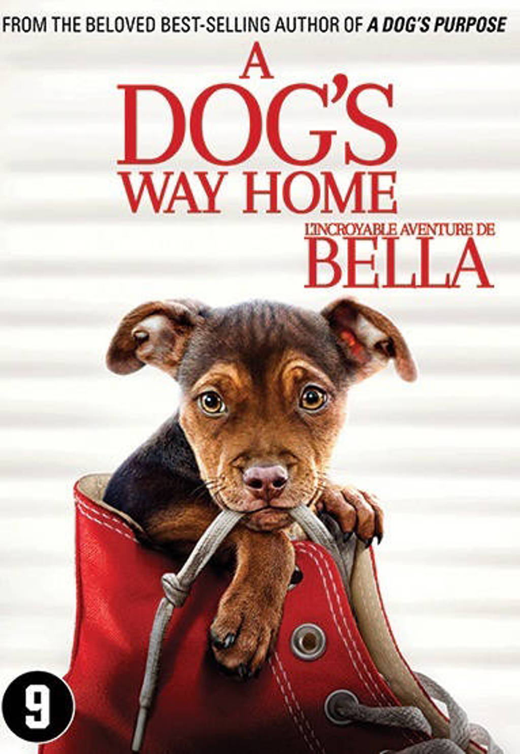 A dog's way home (DVD)