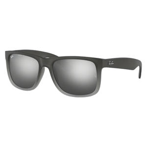 zonnebril 0RB4165 antraciet