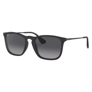 zonnebril 0RB4187 zwart