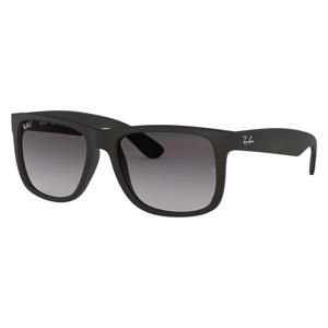 zonnebril 0RB4165 zwart