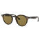 Ray-Ban zonnebril 0RB2180 met tortoise print bruin