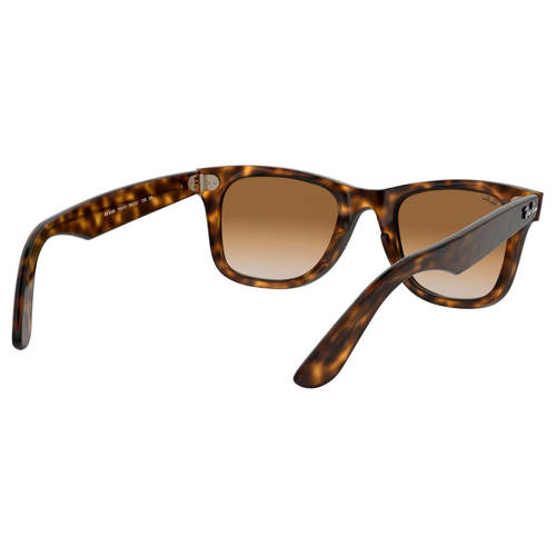 Wayfarer 2024 ease tortoise