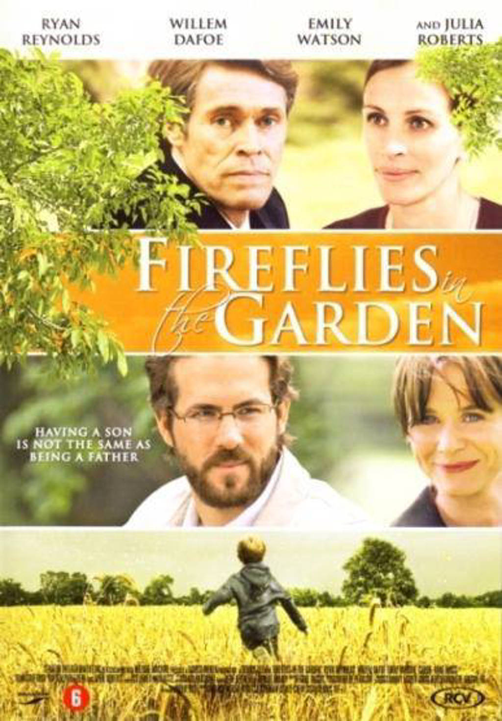 Fireflies in the garden (DVD)