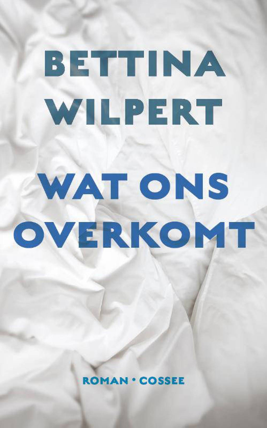 Wat ons overkomt - Bettina Wilpert