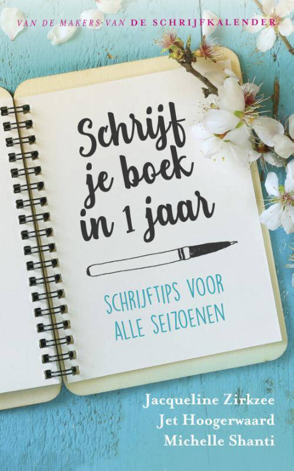 Schrijf je boek in 1 jaar - Michelle Shanti, Jet Hoogerwaard en Jacqueline Zirkzee