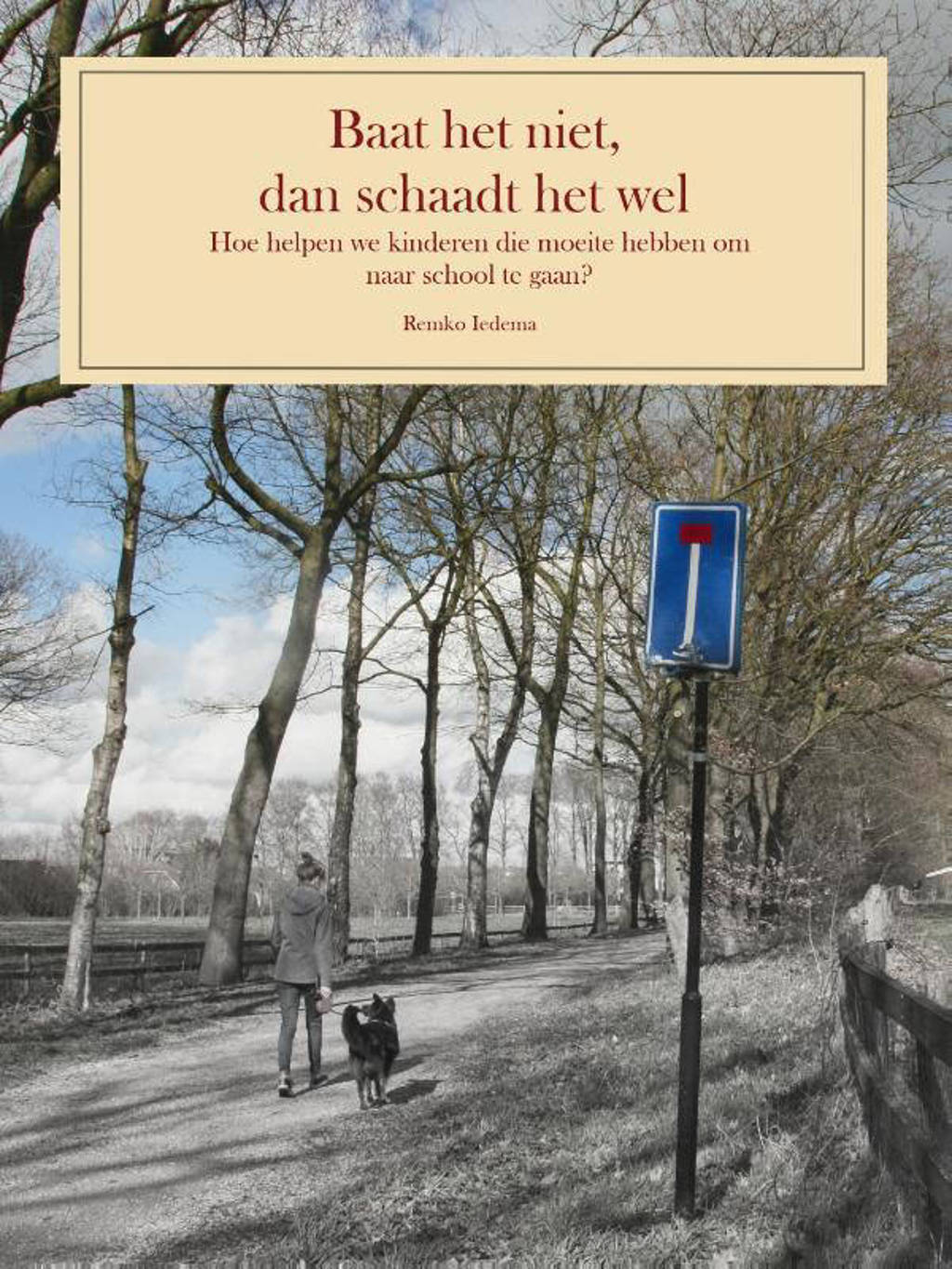 Baat het niet, dan schaadt het wel - Remko Iedema