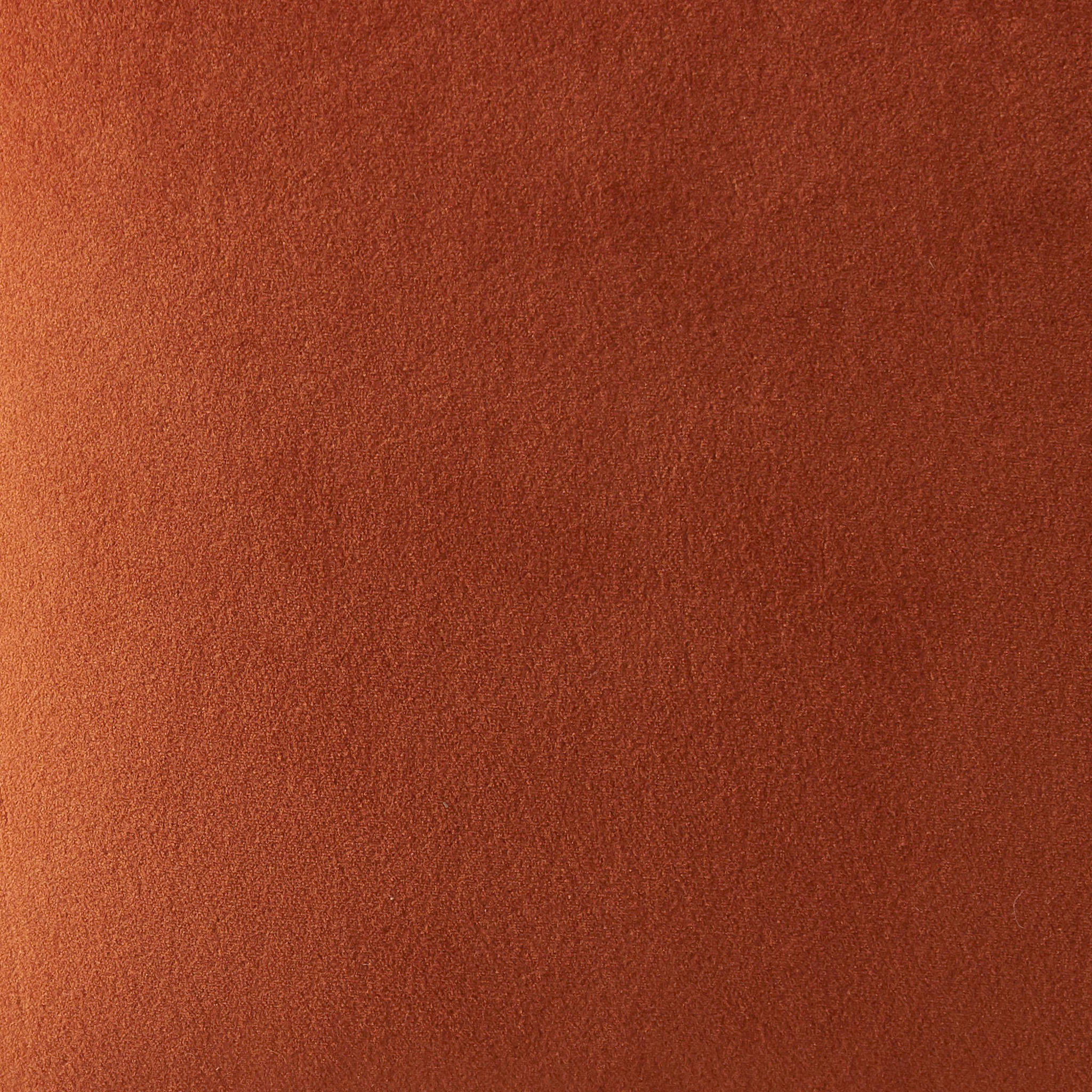 Wehkamp Home fauteuil Fleur velours - Afbeelding 7