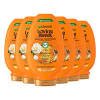 Garnier Loving Blends Argan- & Cameliaolie conditioner - 6 x 250 ml - voordeelverpakking