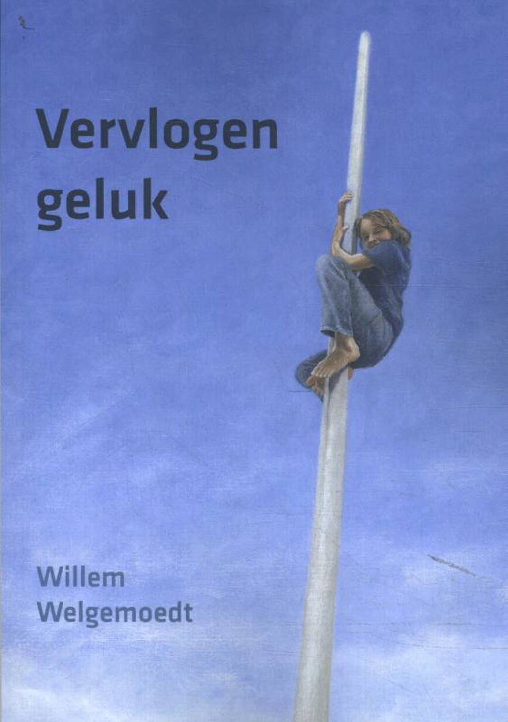 Vervlogen geluk - Willem Welgemoedt