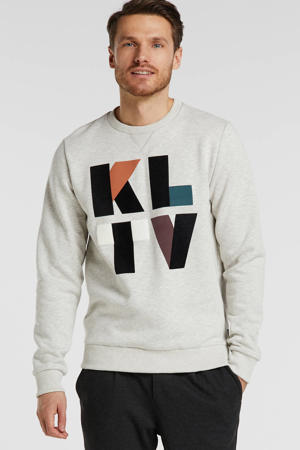 sweater met printopdruk grijs