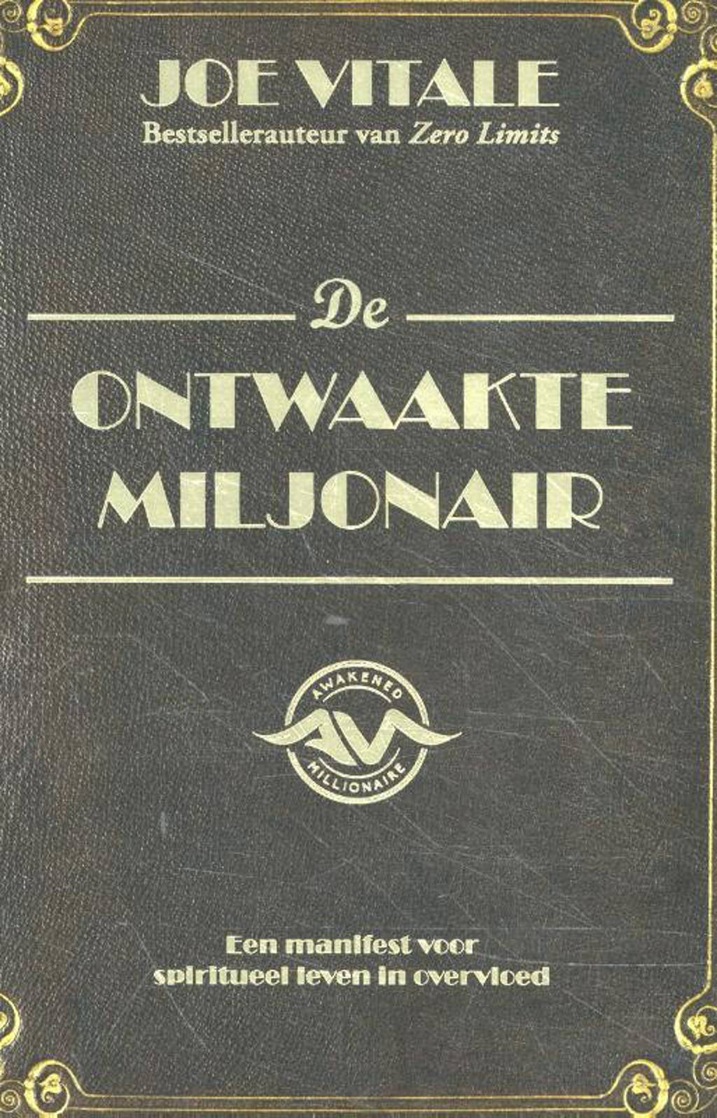 De ontwaakte miljonair - Joe Vitale