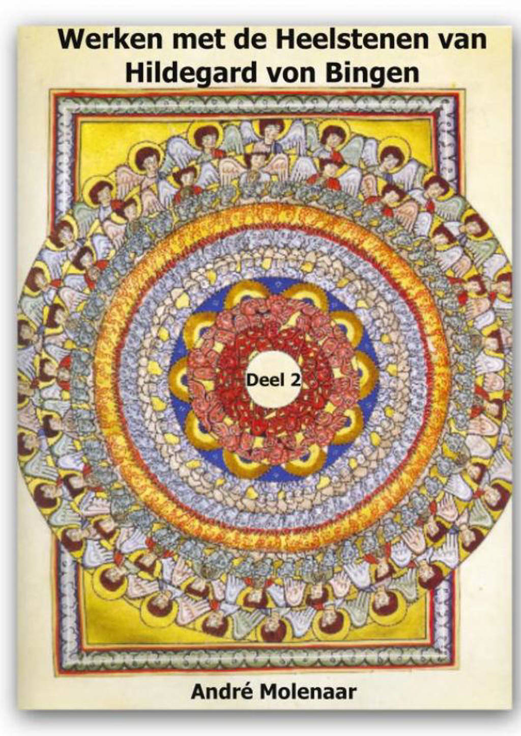 Werken met de Heelstenen van Hildegard von Bingen - André Molenaar