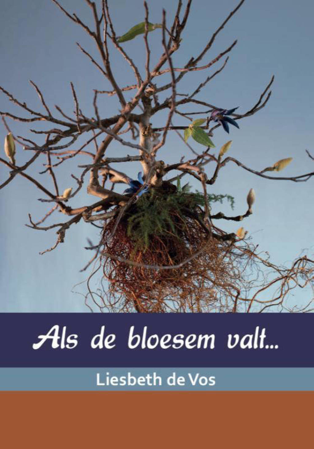 Als de bloesem valt... - Liesbeth de Vos
