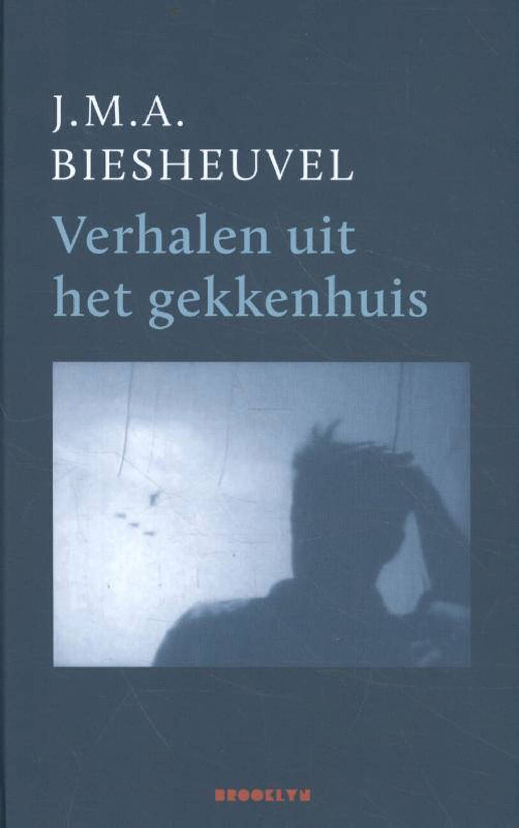 Verhalen uit het gekkenhuis - J.M.A. Biesheuvel