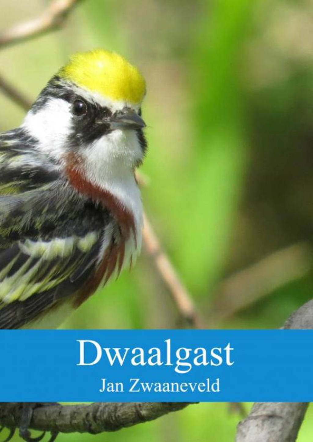Dwaalgast - Jan Zwaaneveld