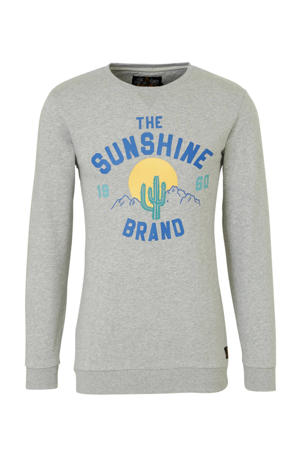 sweater met printopdruk grijs