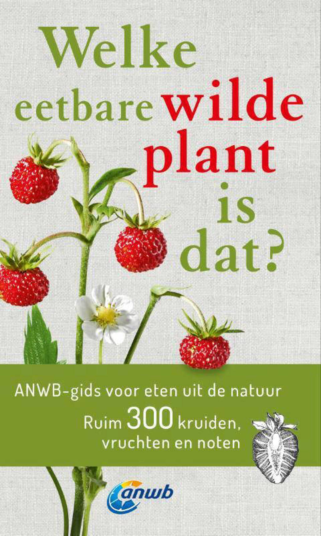 Welke eetbare wilde plant is dat? - Christa Bastgen