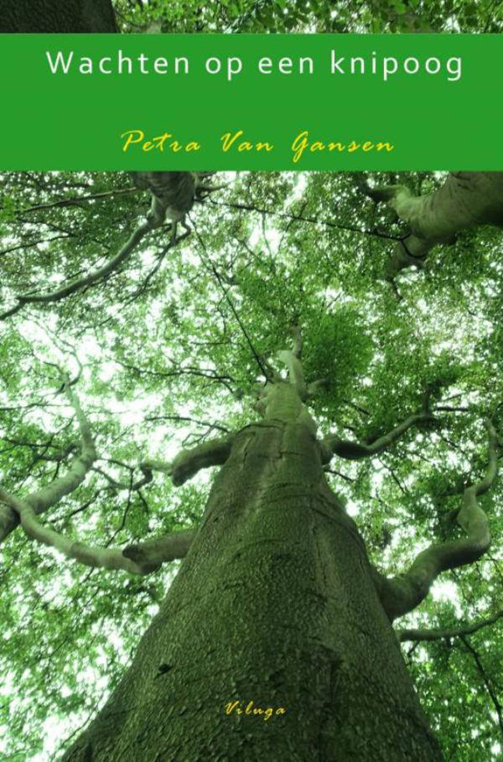 Wachten op een knipoog - Petra Van Gansen