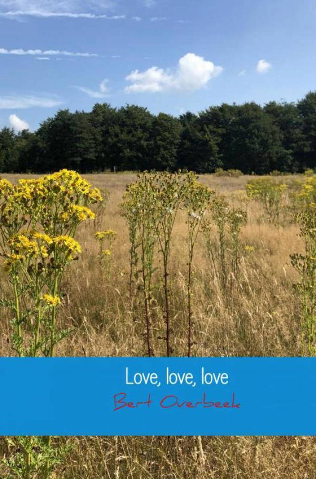 Love, love, love - Bert Overbeek