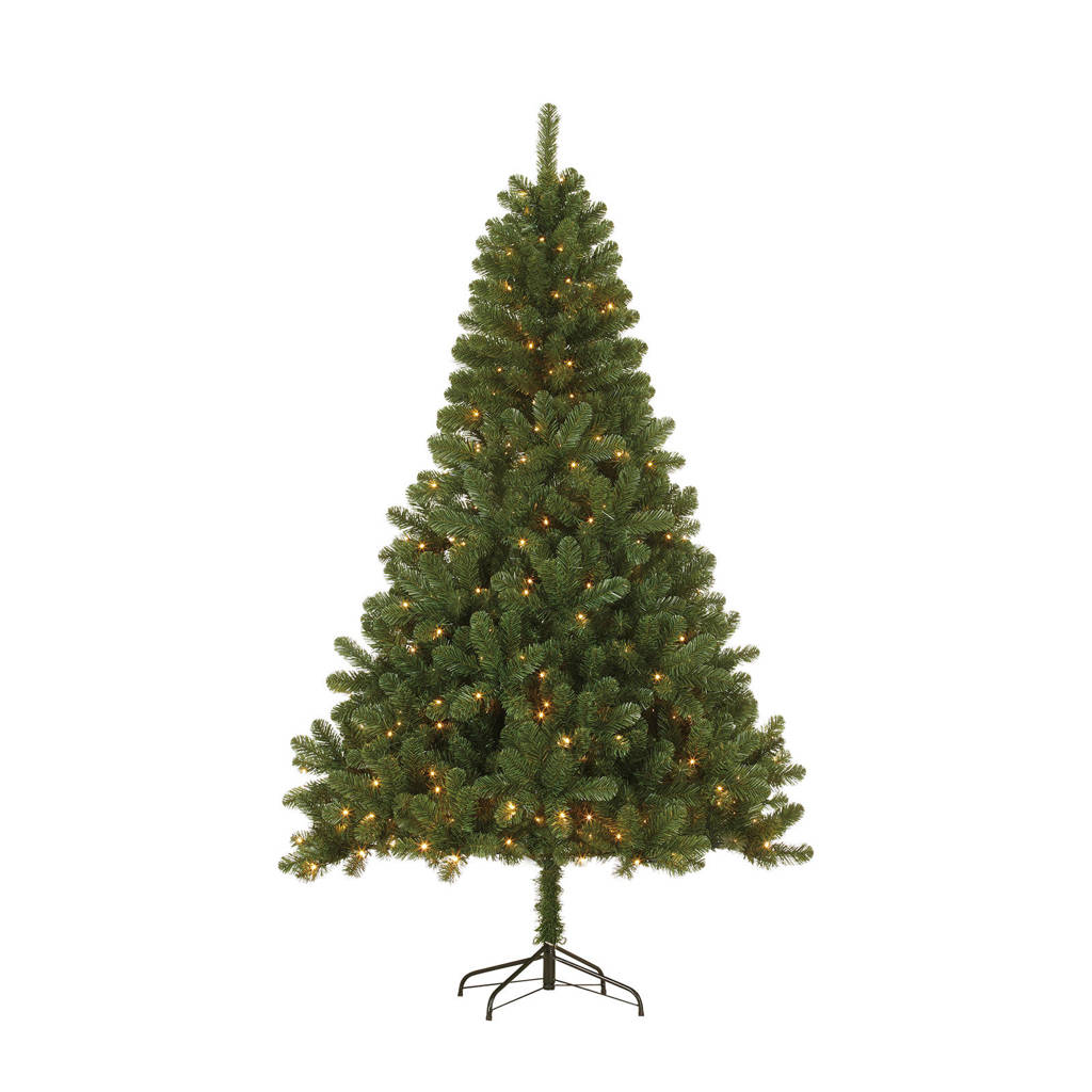 Black Box Verlichte Kerstboom Hamar H185 X O115 Cm Wehkamp