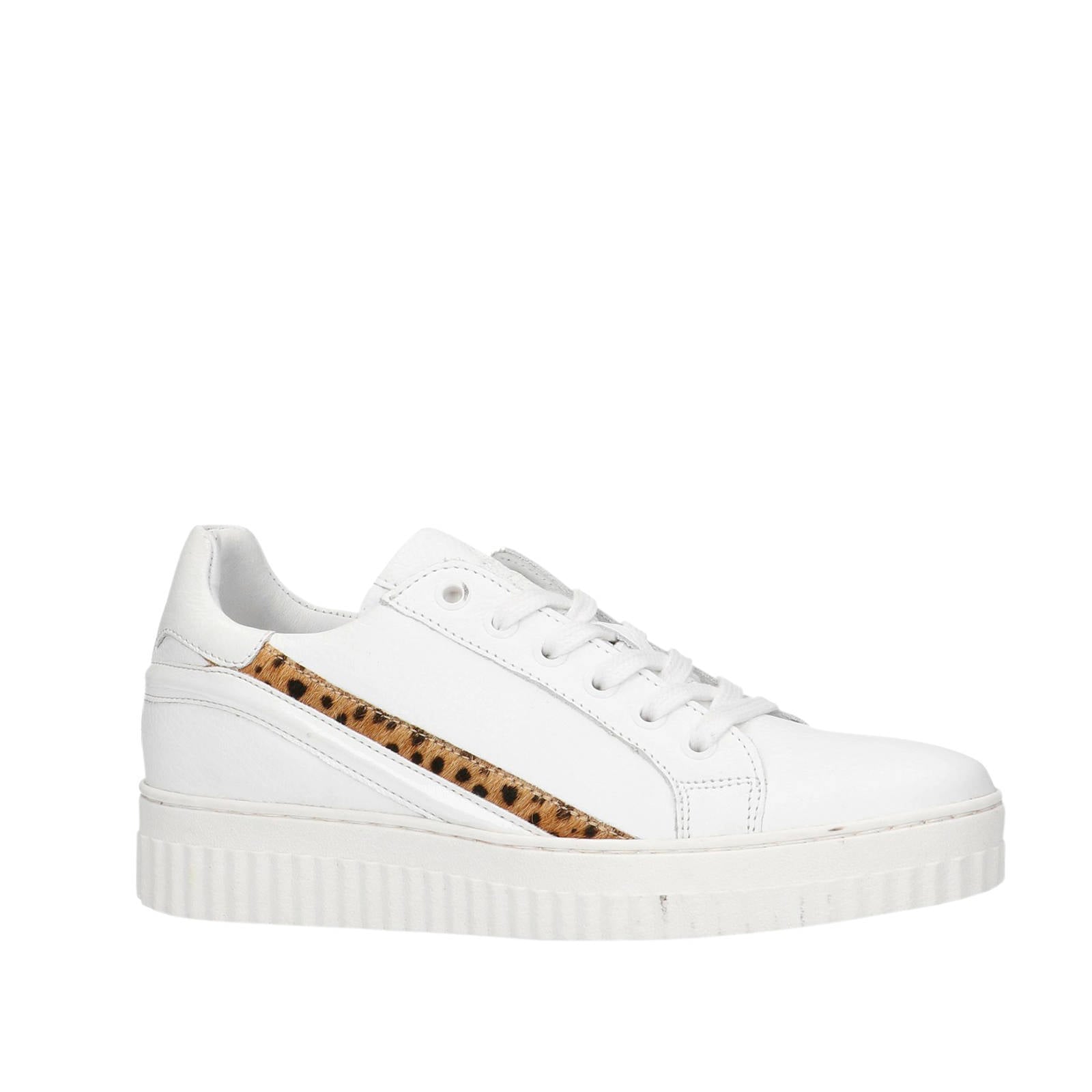 Manfield Schoenen voor Dames • Nieuwe collectie Tot 60% Korting •  Dresscode.nl