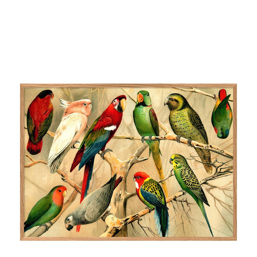 The Dybdahl Co wanddecoratie Vogels, horizontaal (70x100 cm)