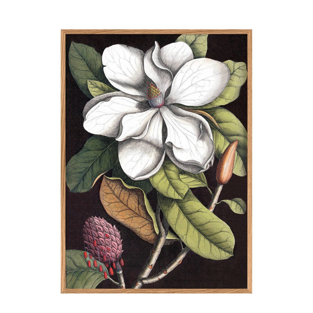 The Dybdahl Co poster Blooming White Magnolia (40x30 cm)