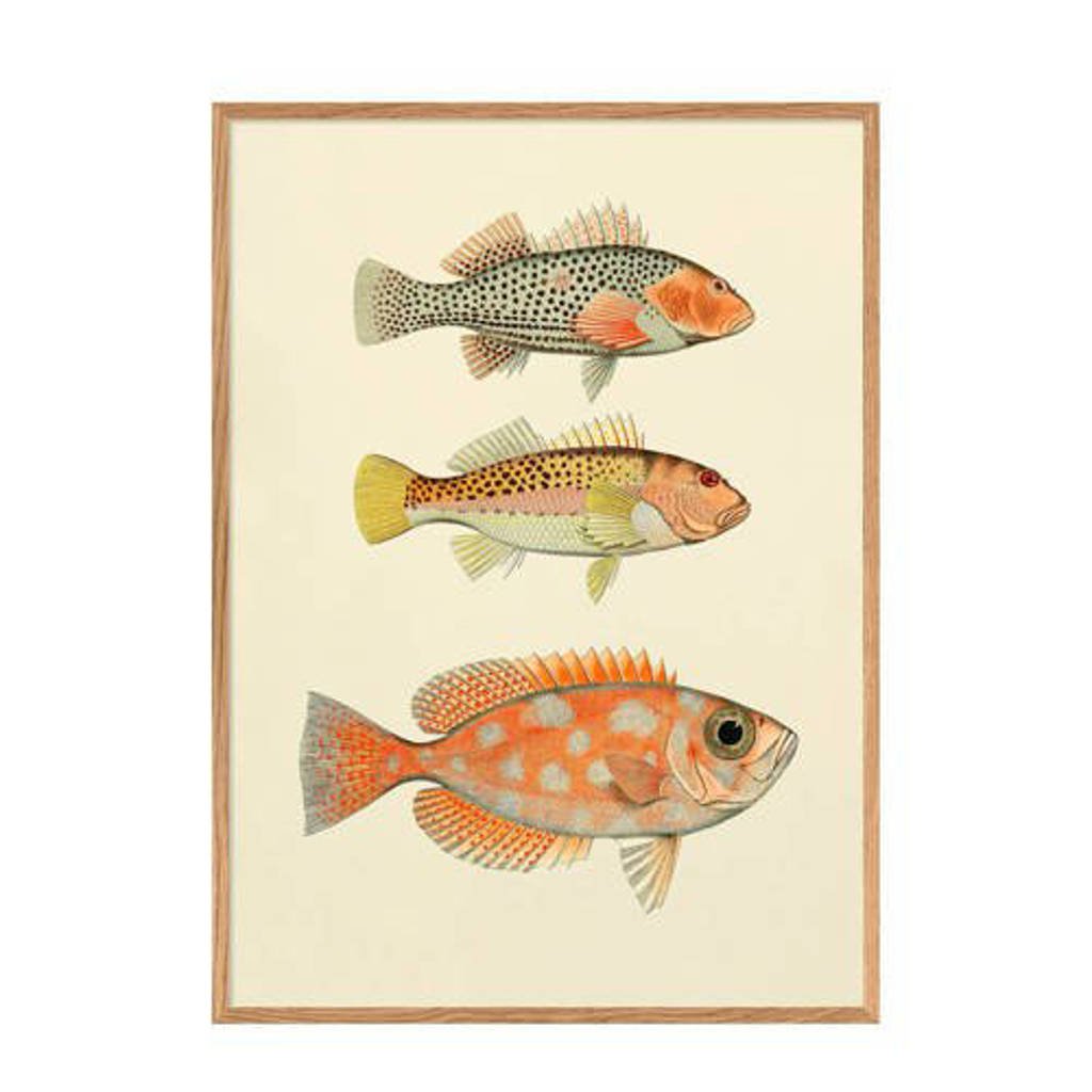 The Dybdahl Co poster Fishes (40x30 cm)