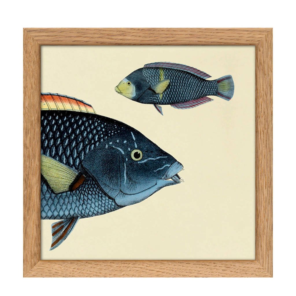The Dybdahl Co wanddecoratie Mini Half Fish (15x15 cm), Multicolor