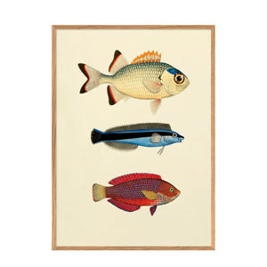 wanddecoratie More Fishes (30x40 cm)