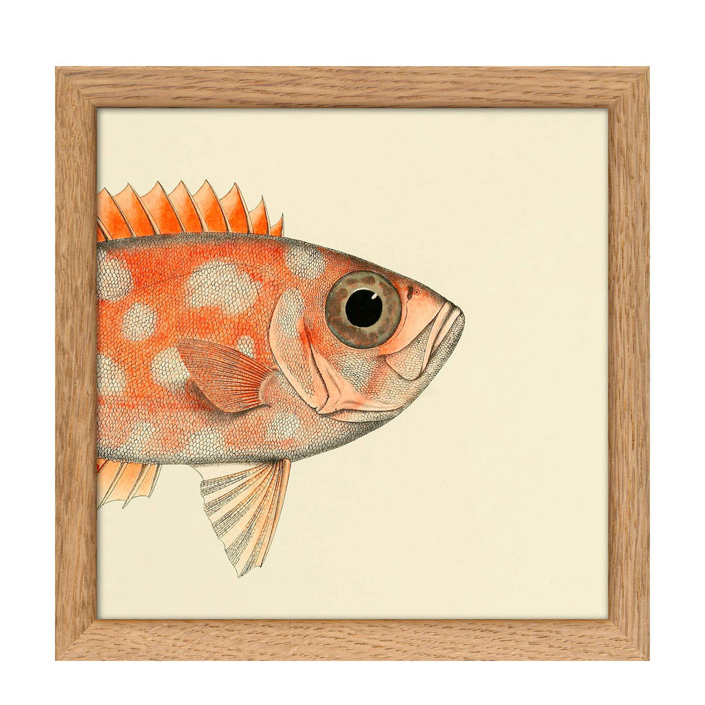 The Dybdahl Co poster Mini Half Fish (15x15 cm), Multicolor