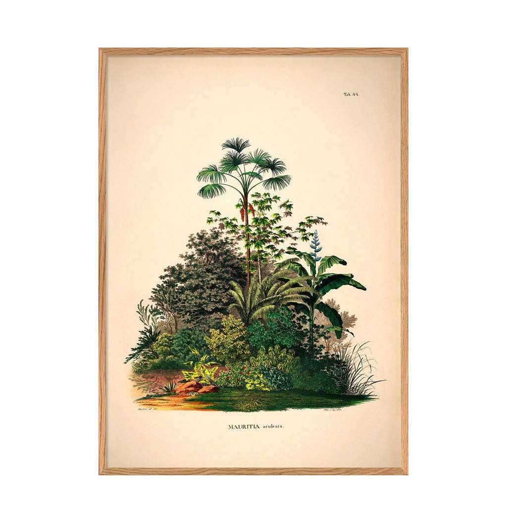 The Dybdahl Co wanddecoratie Mauritia Aculeata (30x40 cm)
