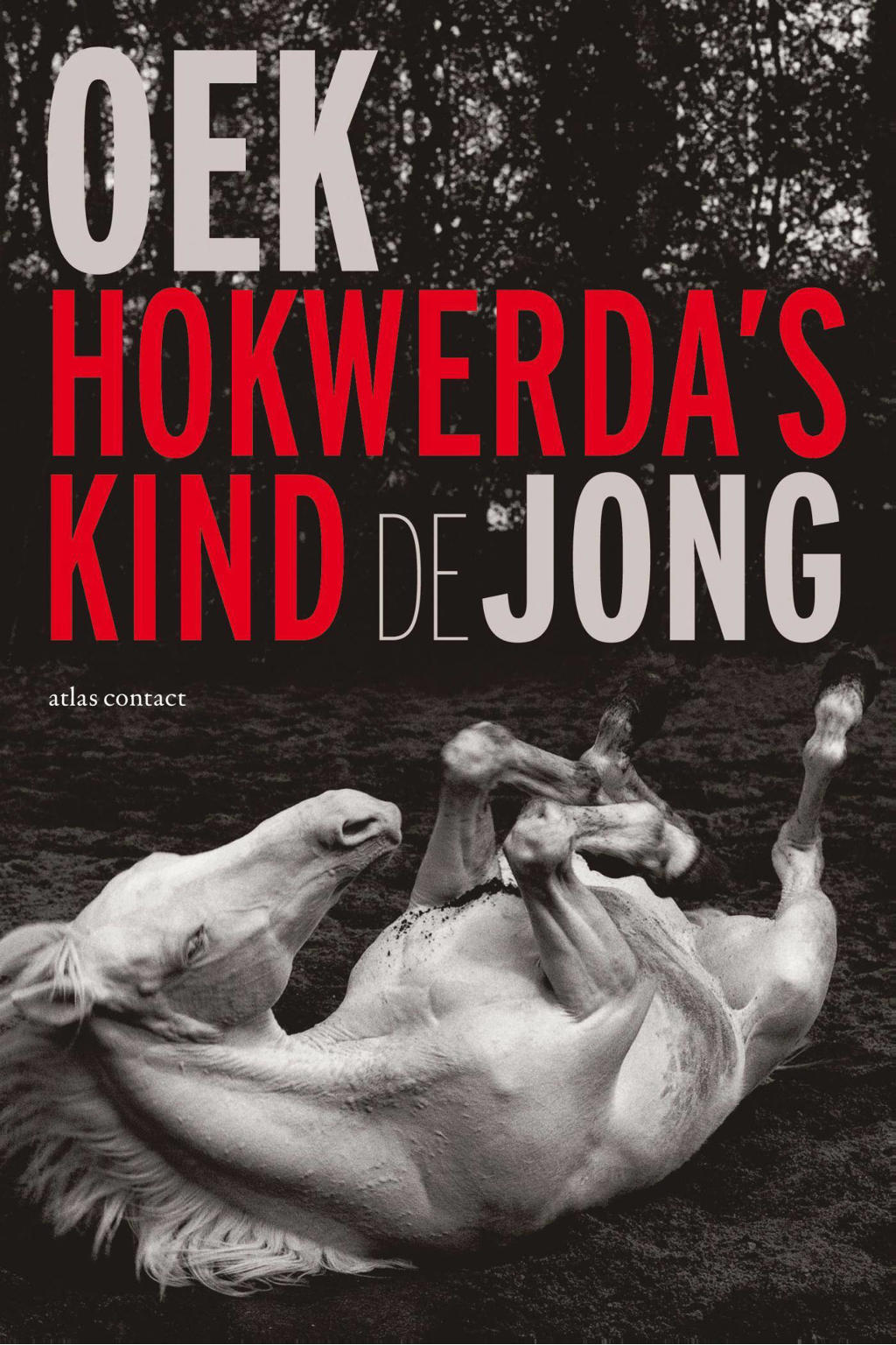 Hokwerda's kind - Oek de Jong