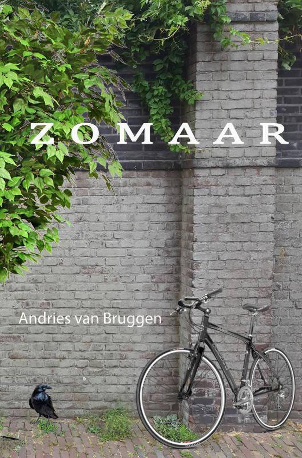 Zomaar - Andries van Bruggen