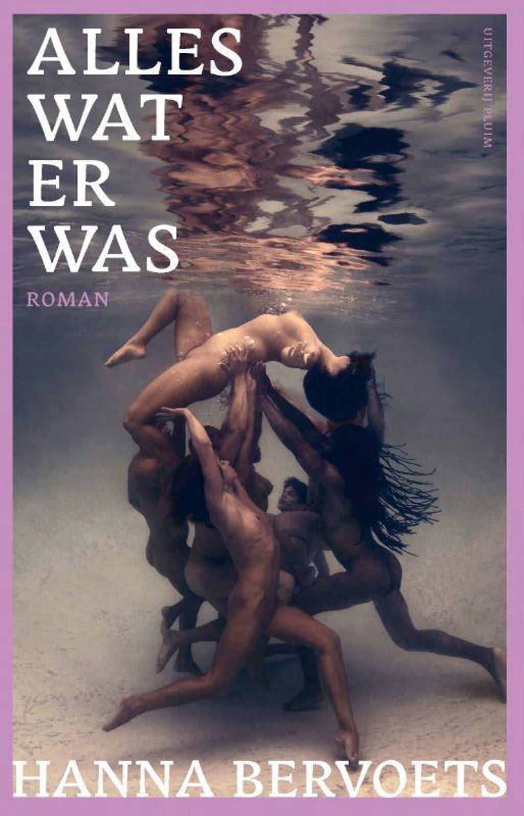 Alles wat er was - Hanna Bervoets