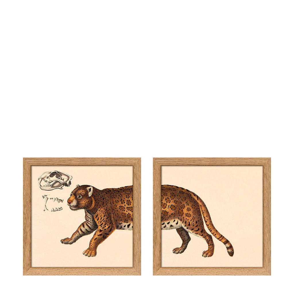 The Dybdahl Co wanddecoratie (set van 2), Bruin