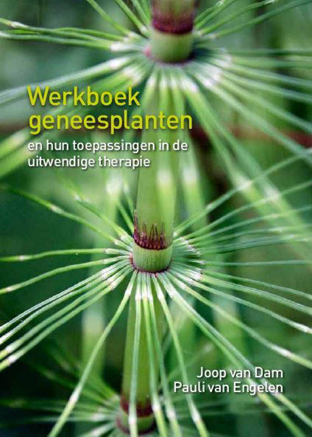 Werkboek geneesplanten - Joop van Dam en Pauli van Engelen
